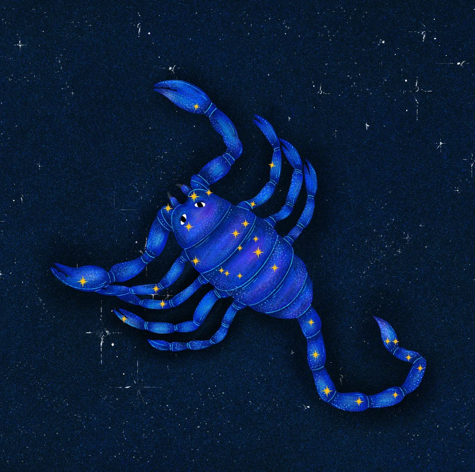 Los Animales del Cielo, artwork 7