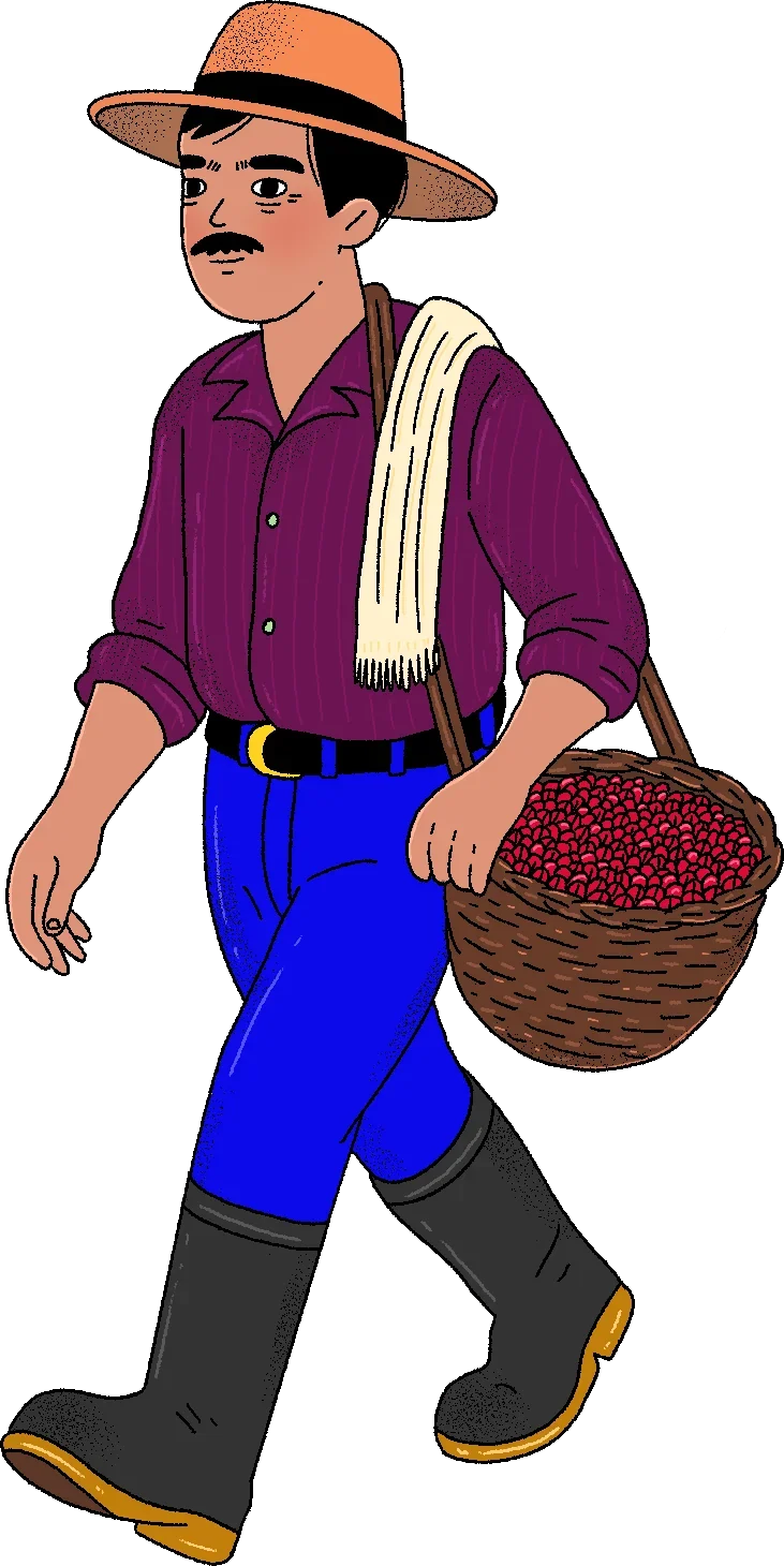 Campesino Collecting Coffee Beans, from the Canva Represents Colombia collection