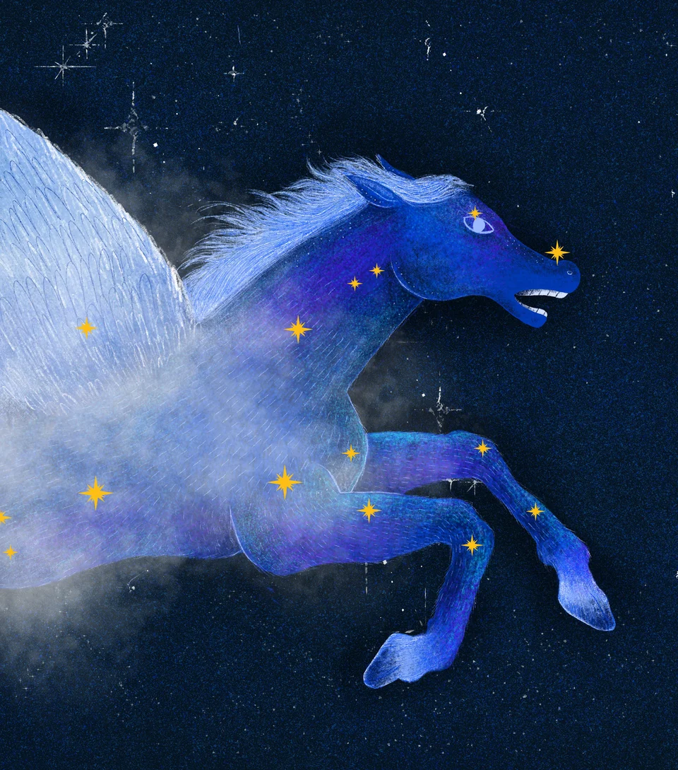Los Animales del Cielo, artwork 8