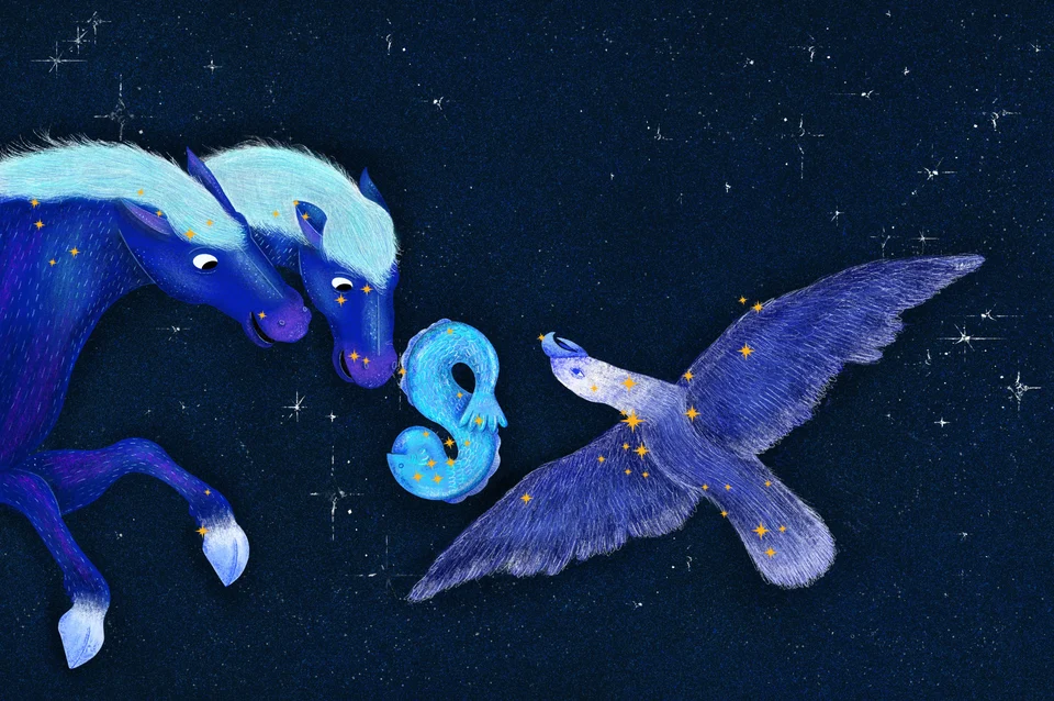 Los Animales del Cielo, artwork 12
