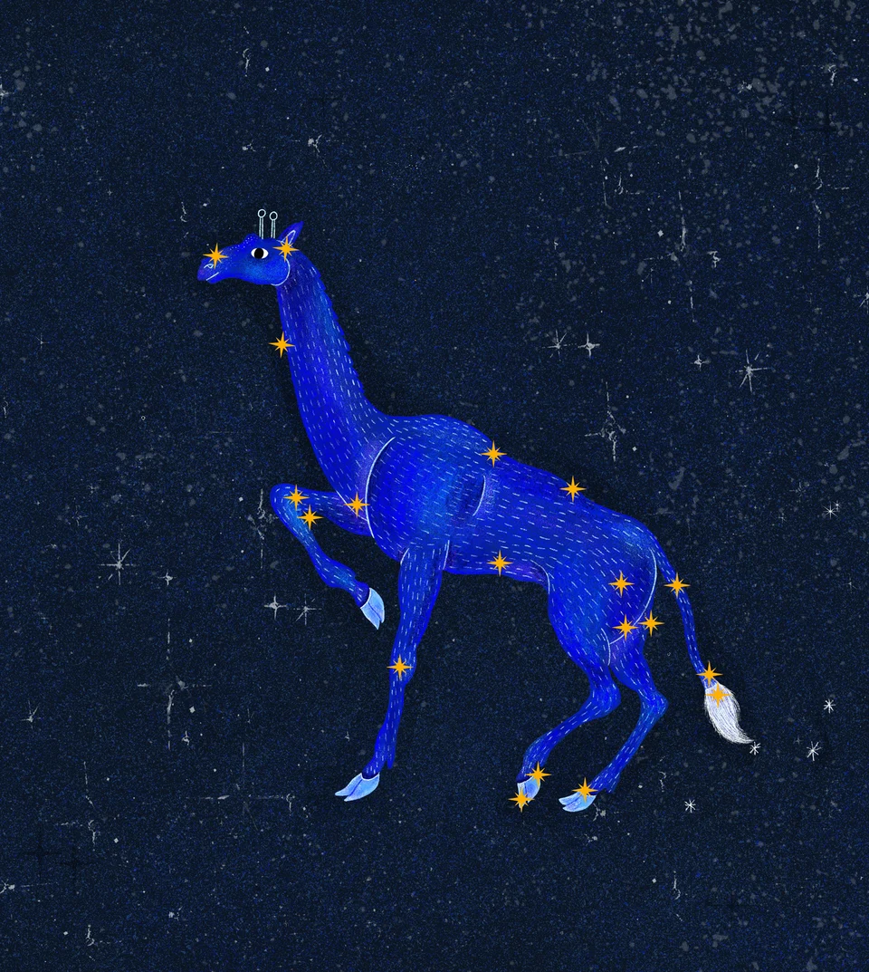 Los Animales del Cielo, artwork 19
