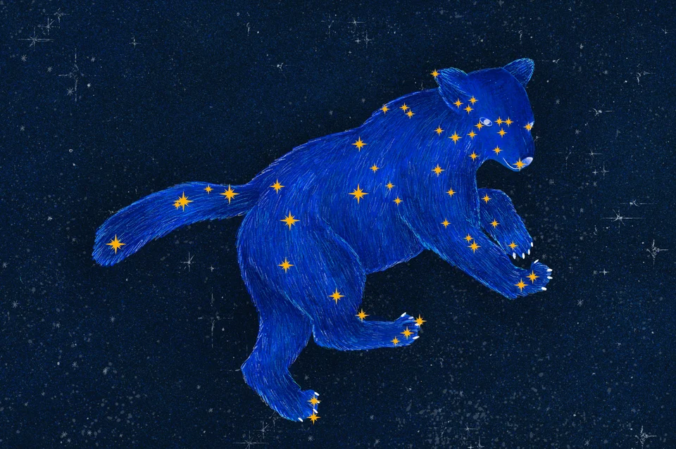 Los Animales del Cielo, artwork 11