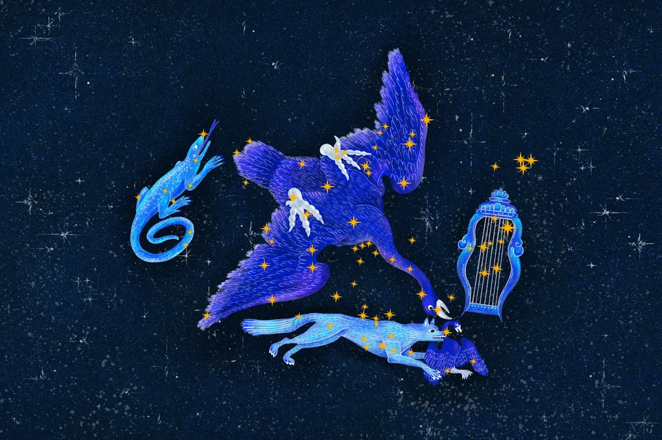 Los Animales del Cielo, artwork 13