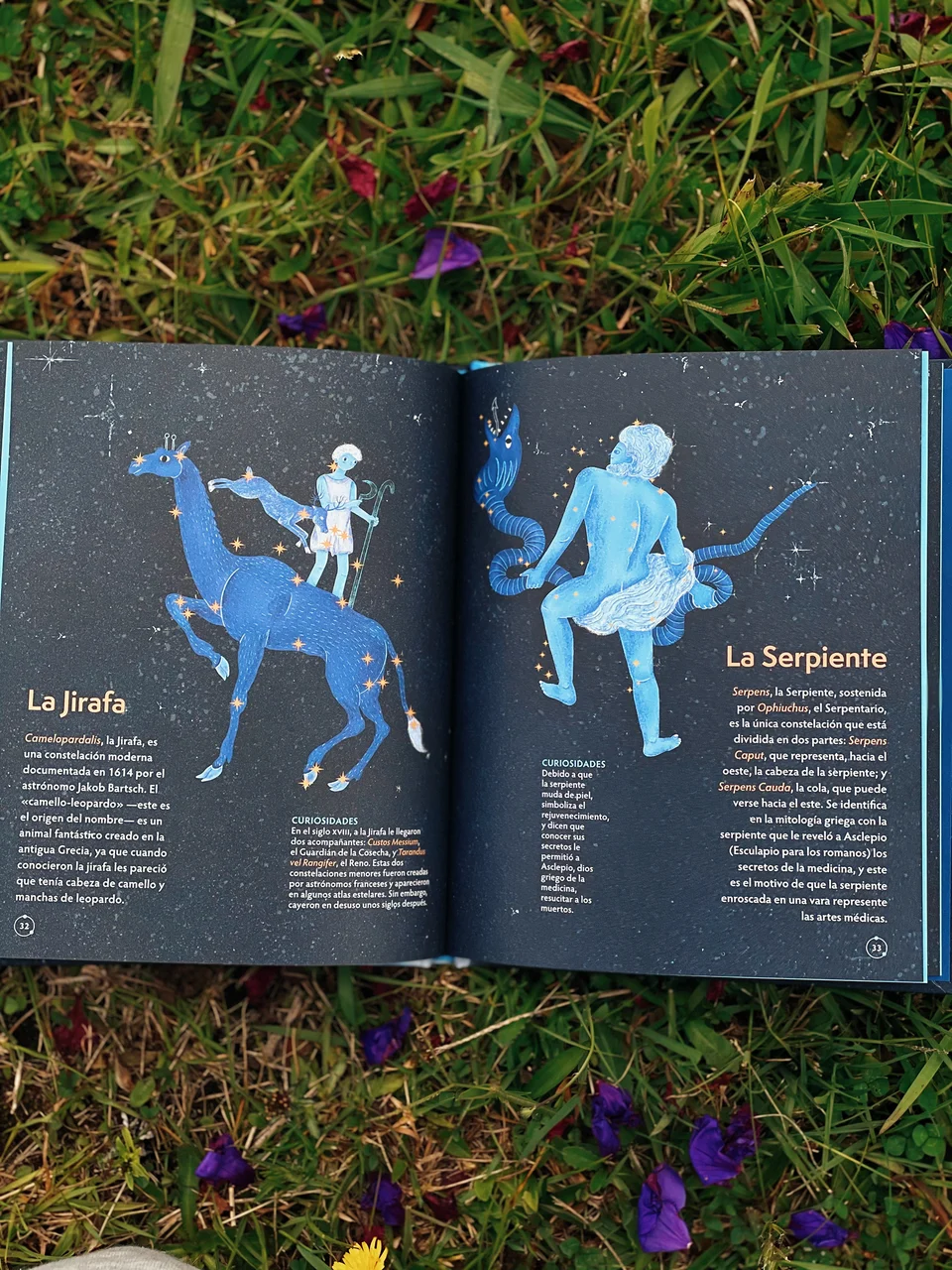 Los Animales del Cielo, artwork 20