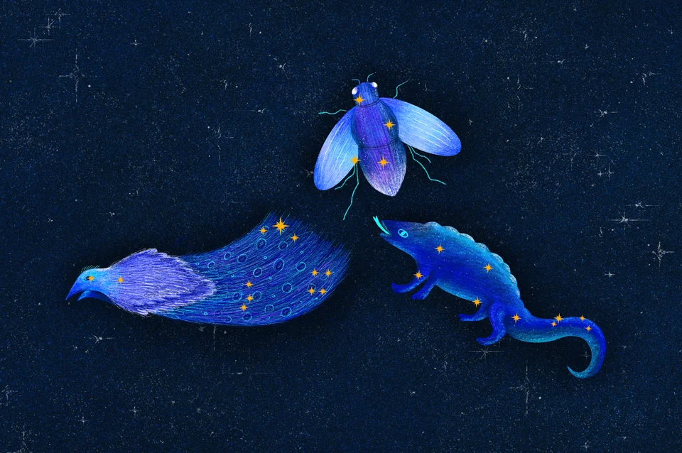 Los Animales del Cielo, artwork 26