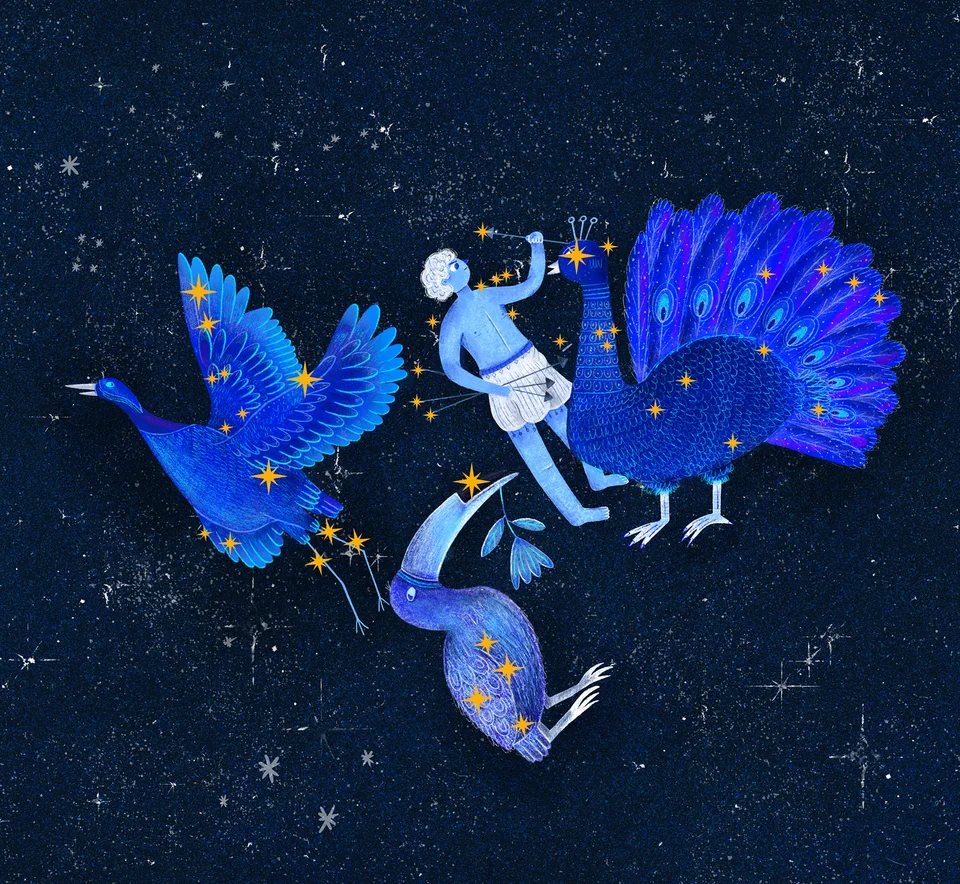 Los Animales del Cielo, artwork 21