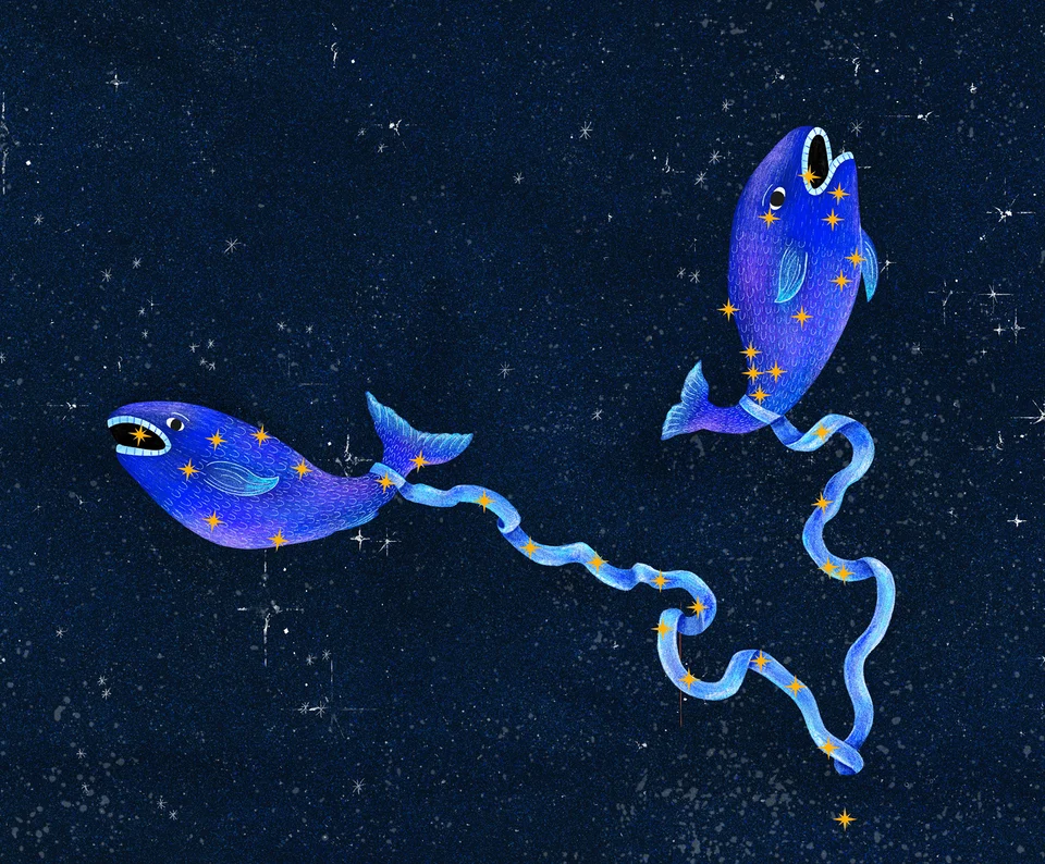 Los Animales del Cielo, artwork 5