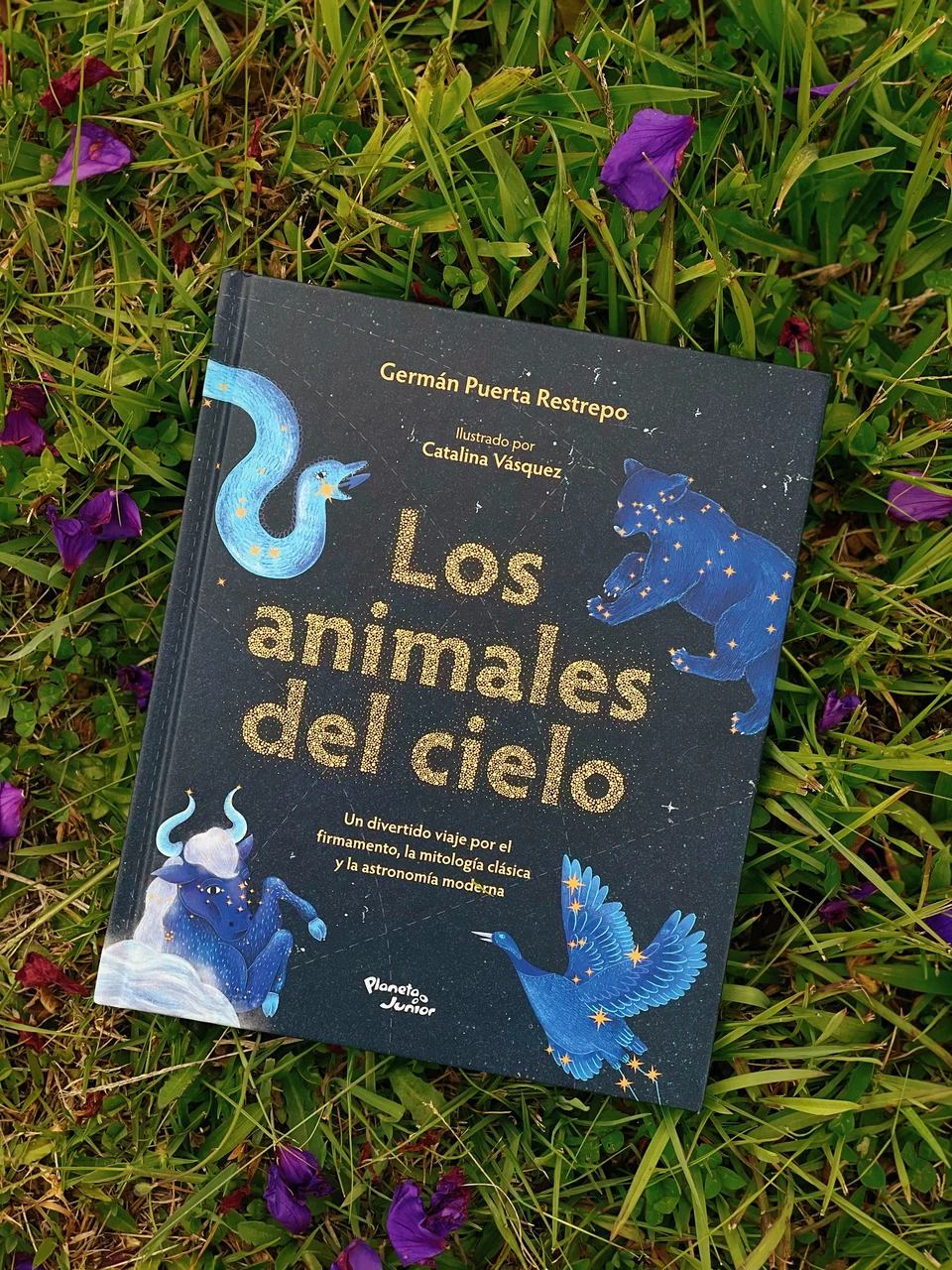 Los Animales del Cielo, artwork 1