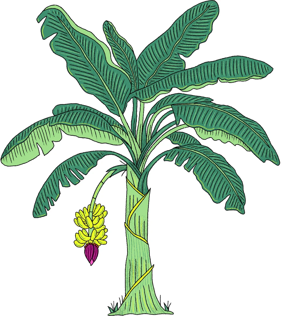 Colombia - Canva Represents, artwork 16