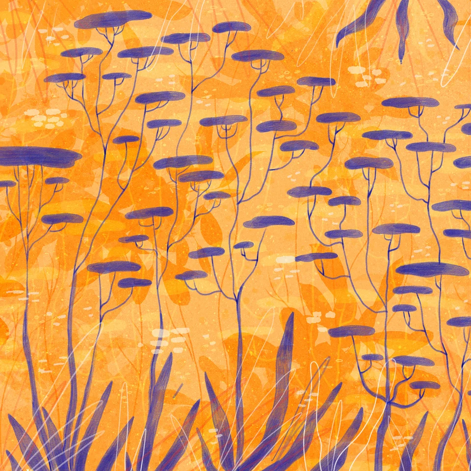 A Estória do Sol e do Rinoceronte, artwork 2