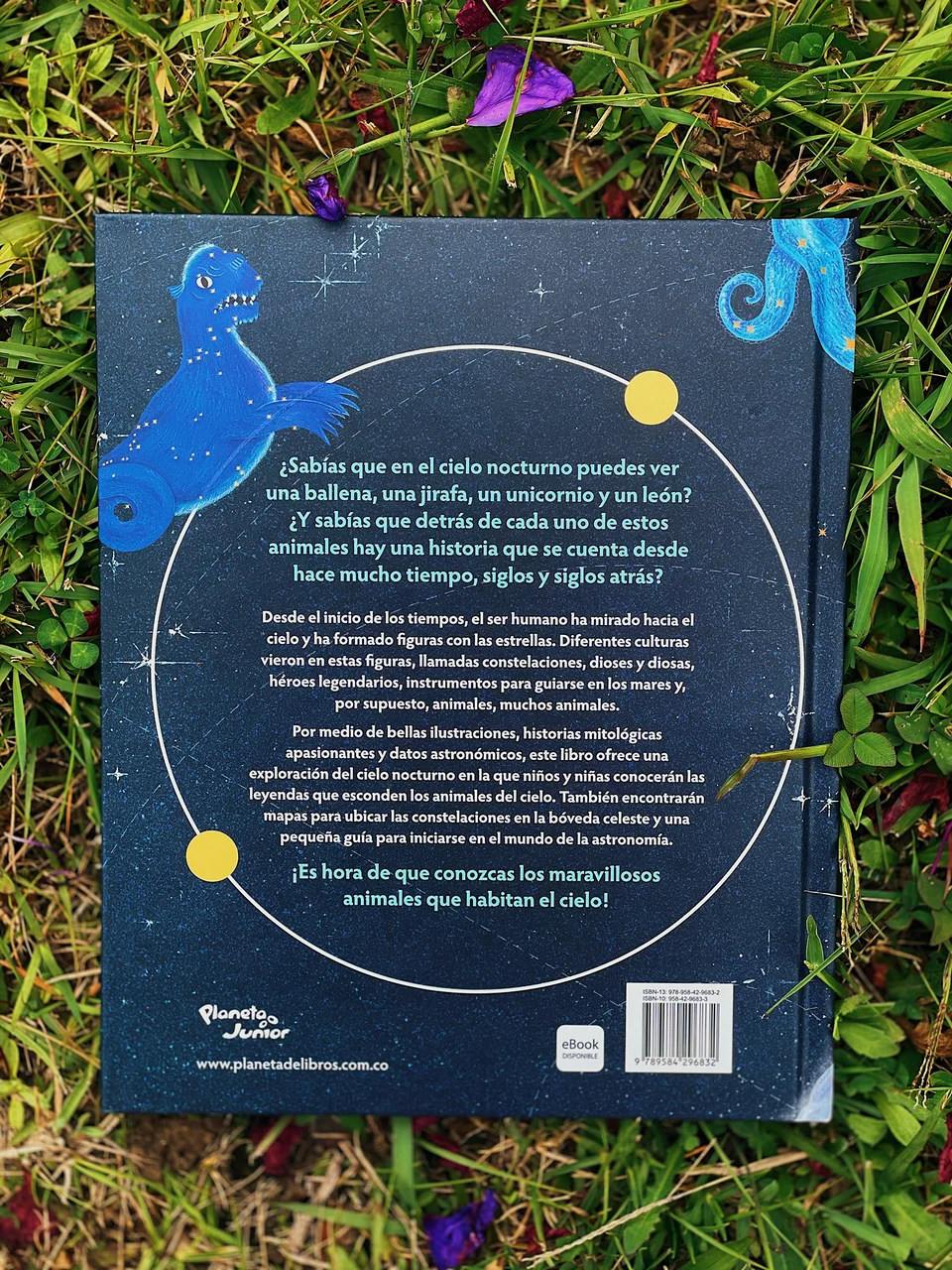 Los Animales del Cielo, artwork 30