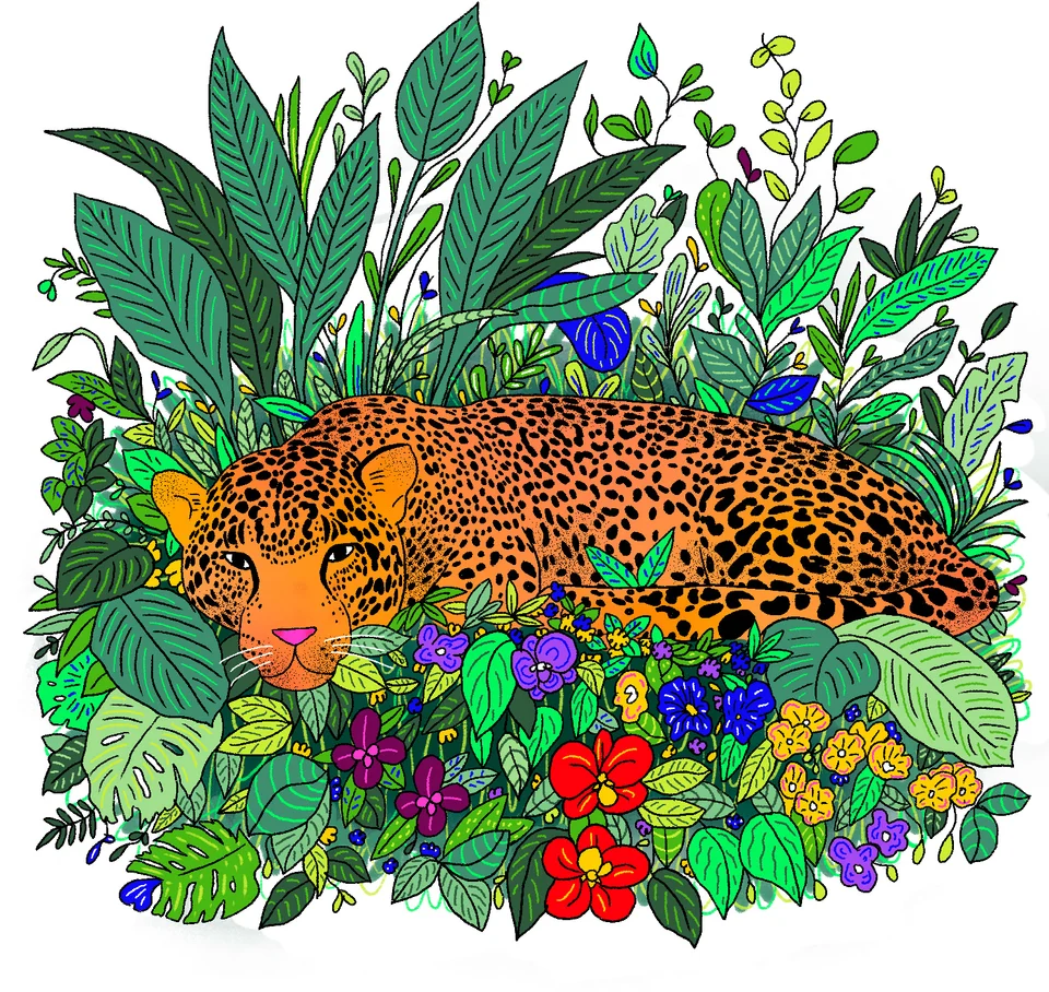 Colombia - Canva Represents, artwork 20