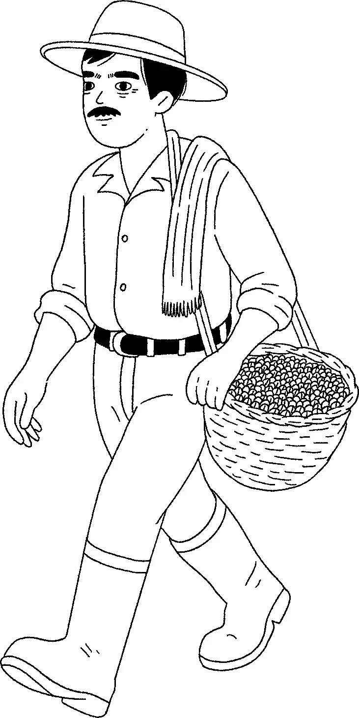 Line sketch: coffee farmer