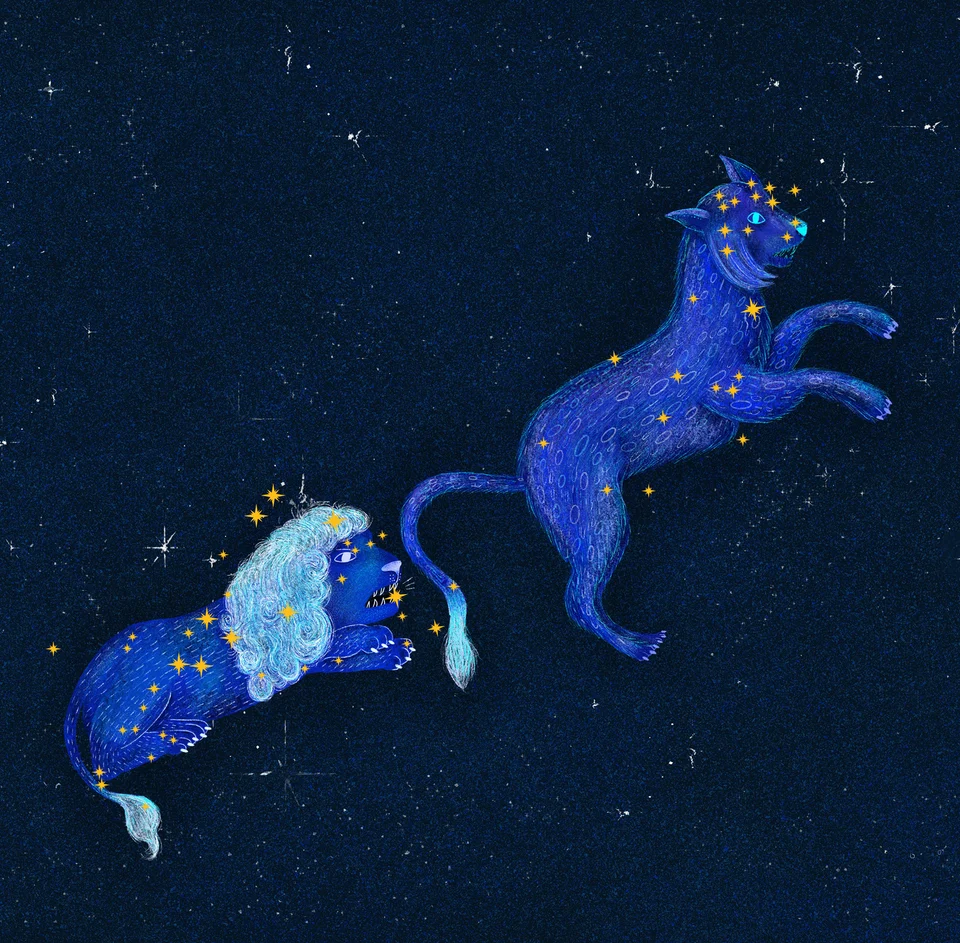 Los Animales del Cielo, artwork 3
