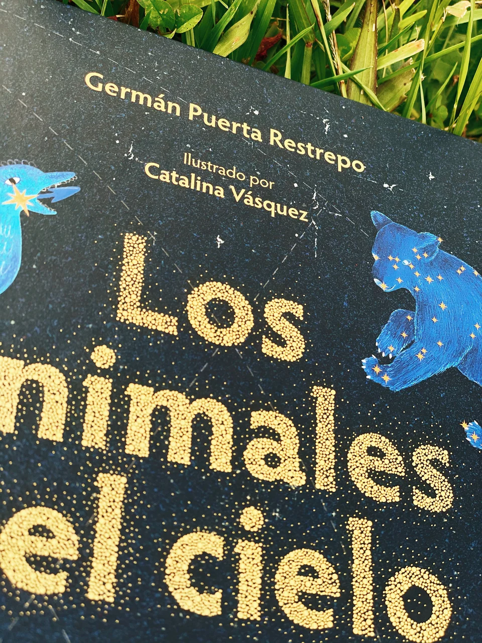 Los Animales del Cielo, artwork 28