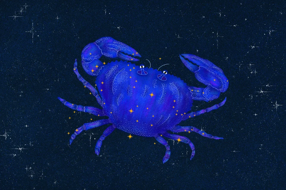 Los Animales del Cielo, artwork 18