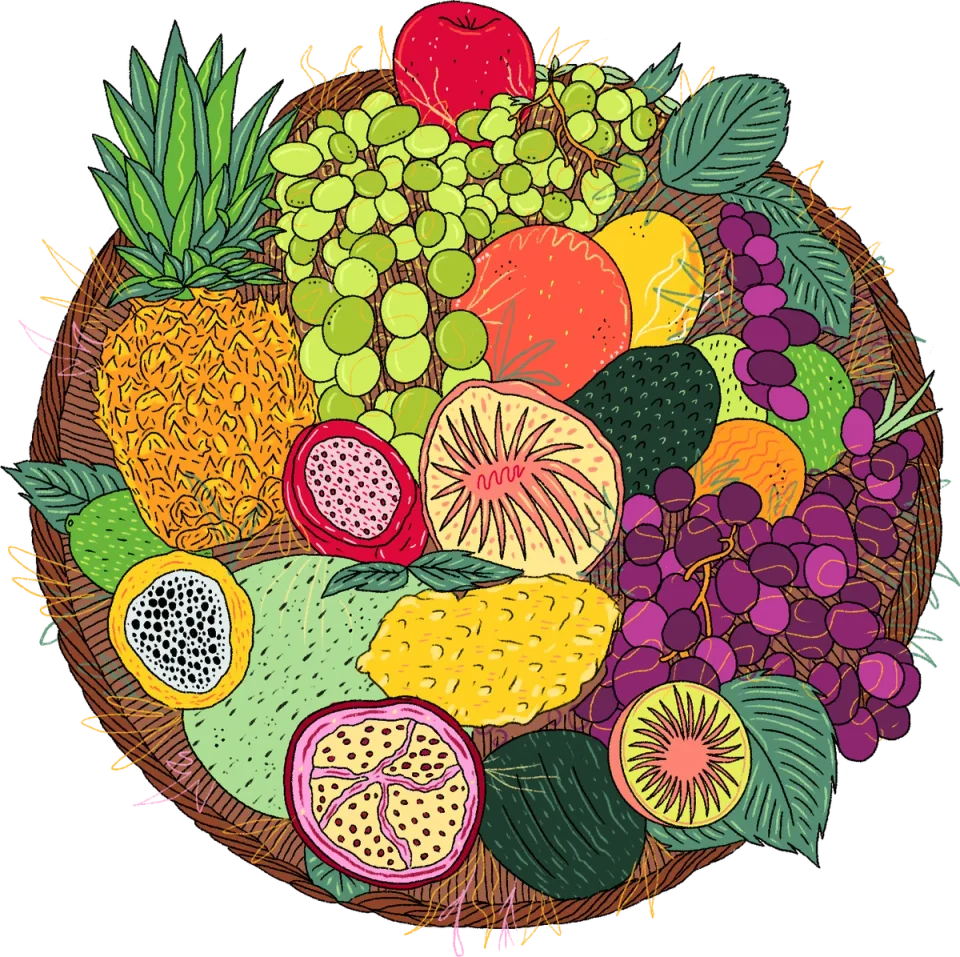 Fruit Basket, from the Canva Represents Colombia collection