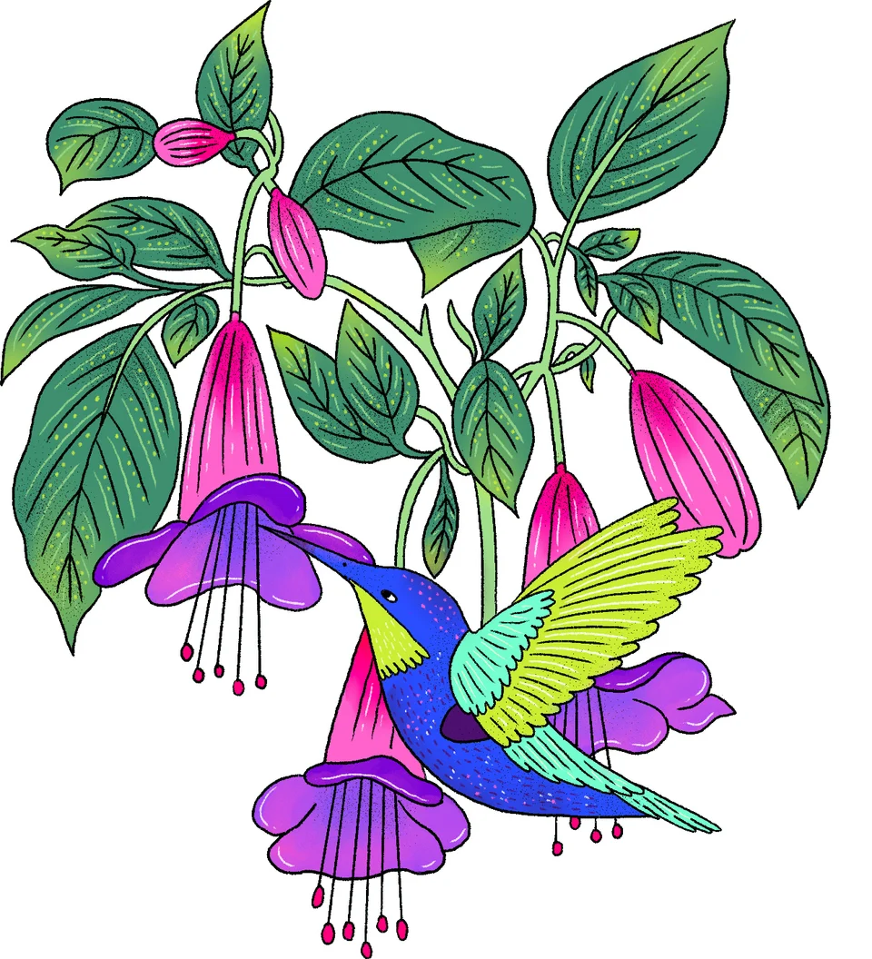 Colombia - Canva Represents, artwork 18