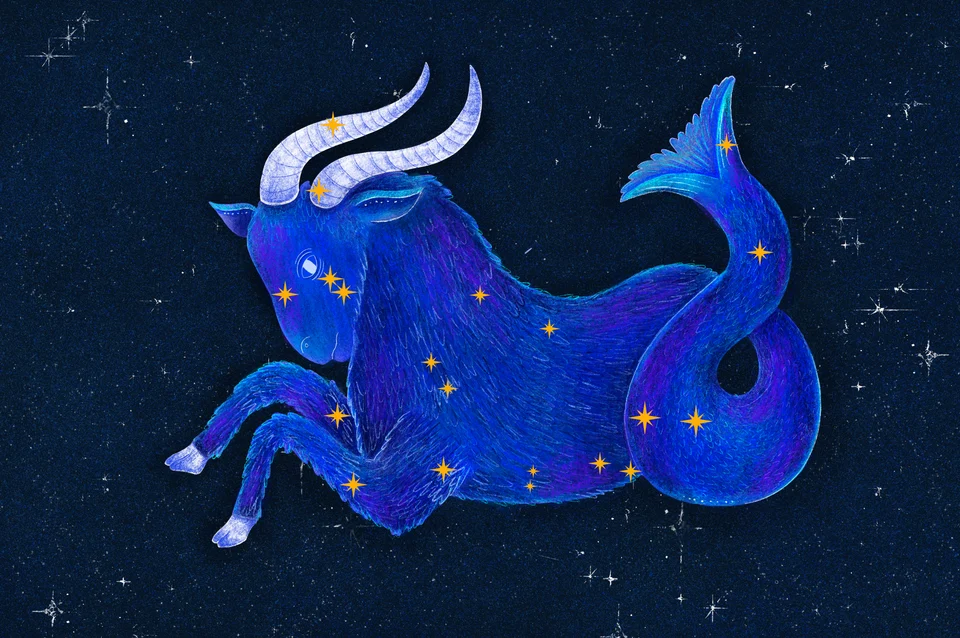 Los Animales del Cielo, artwork 22
